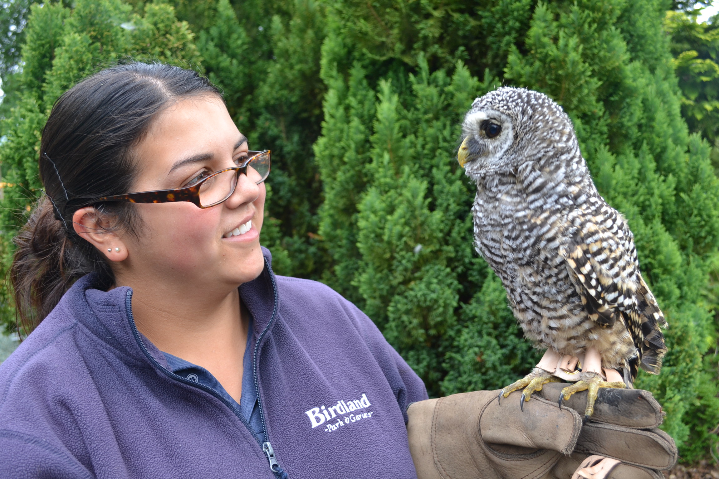 Helen Perry and Chaco Owl 2 - Birdland Celebrates International Owl Awareness Day