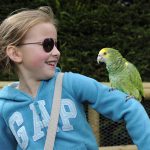 Birdland Become a Perch for a Parrot 150x150 - Things to do with the Kids
