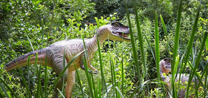 Dinosaur Facts at Birdland