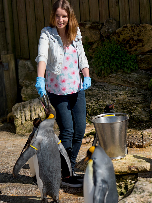 Feeding the penguins at Birdland