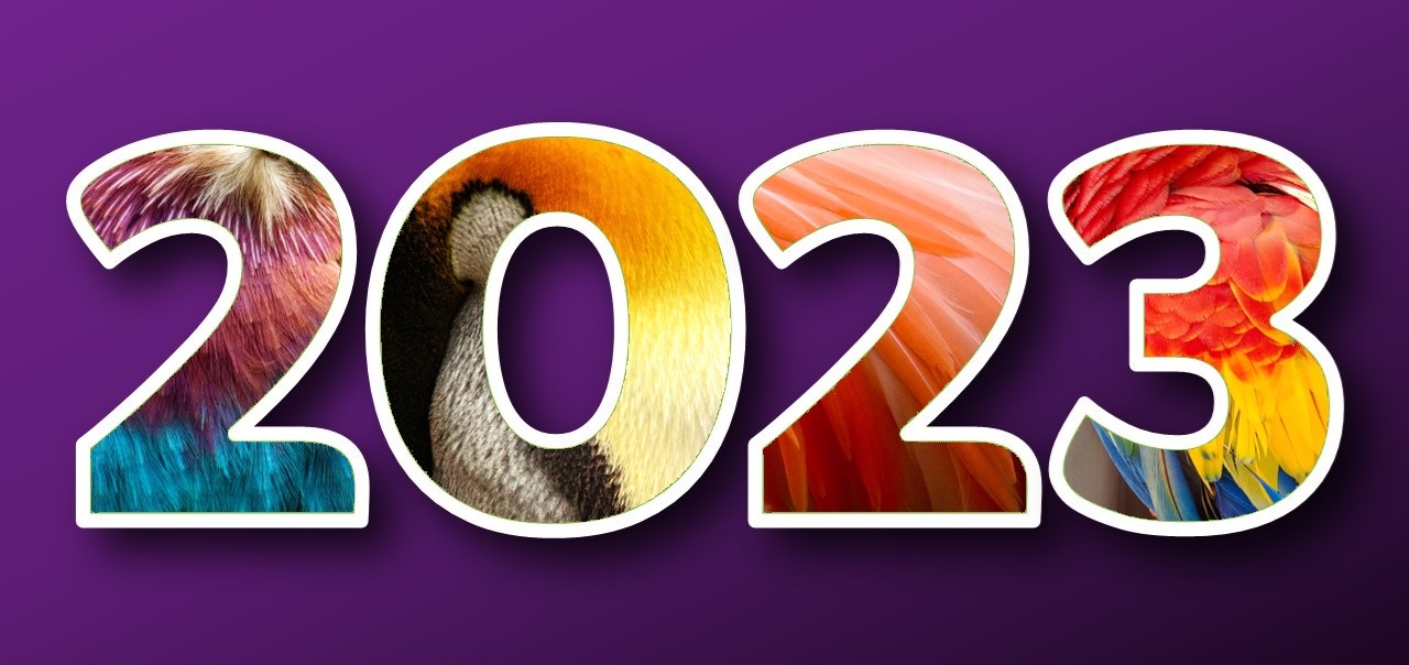 2023 Enews Banner - What's On 2023