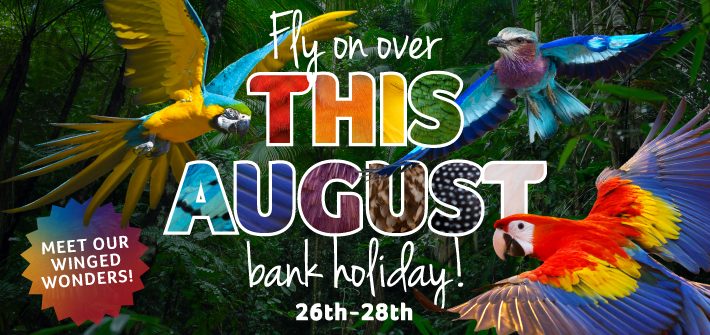Birdland August Bank Hols 2023 Website Homepage Banner Large 710x355px   710x335 - 10 Things to do at Birdland this August Bank Holiday Weekend