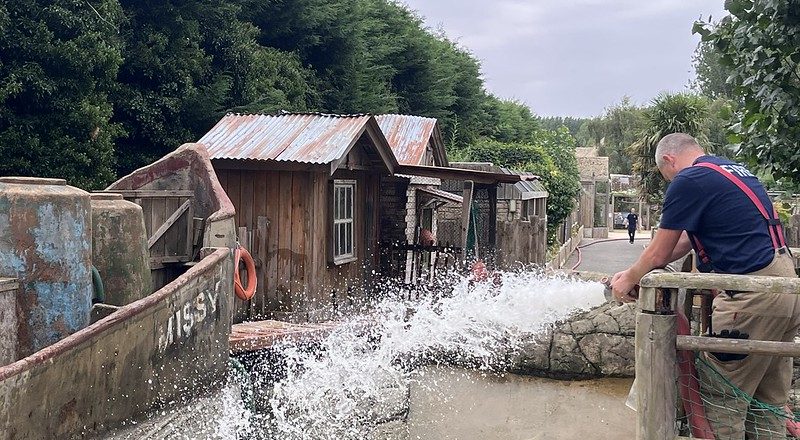 54731047874 303dda2029 c 800x440 - Penguins Enjoy a Freshly Filled Pool Thanks to Community Collaboration