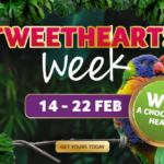 Birdland Valentines 2026 Great Gifts Website Homepage Banner Large 710x355px 1 1 e1770731797187 150x150 - Fall in love with feathers this valentine's