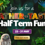 birdlandmayhalfterm2026websitebanner 710x355 1 150x150 - Feather-tastic half term fun!