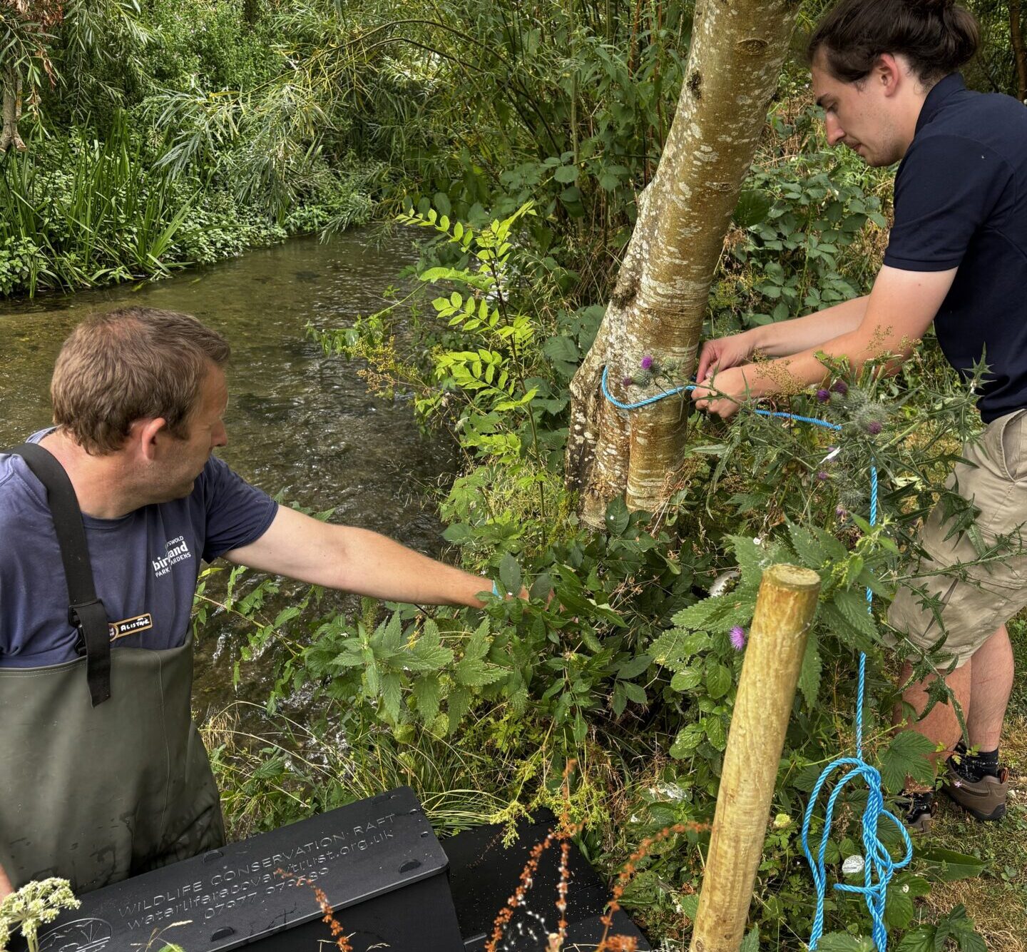 Image 31 e1785503938714 - Birdland and Waterlife Recovery Trust Partner to Protect River Wildlife