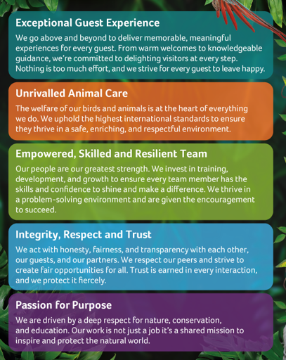 careers Values and Behaviours - careers