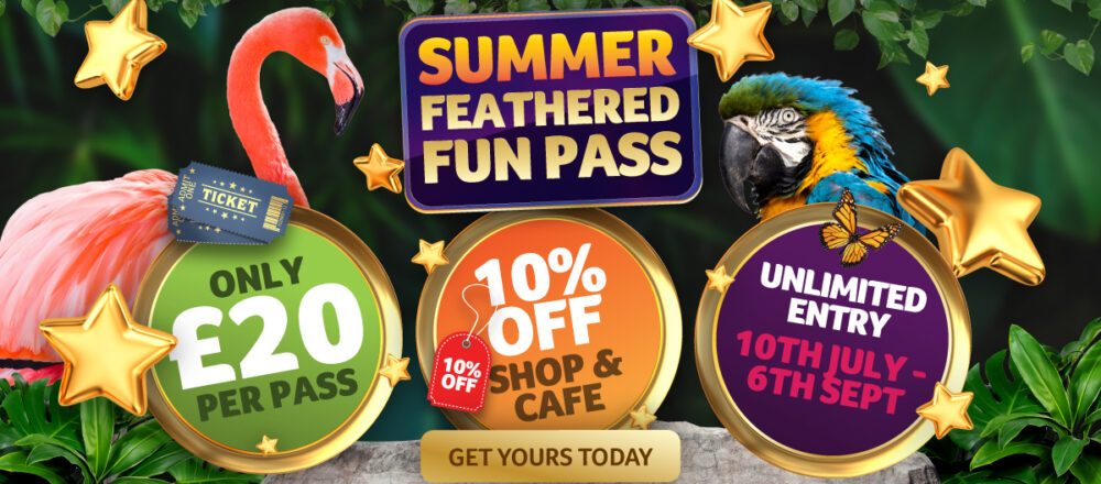 birdlandFunPass2026websitehomepagebanner 1200x600px 1000x440 - 2026 Feathered Fun Pass