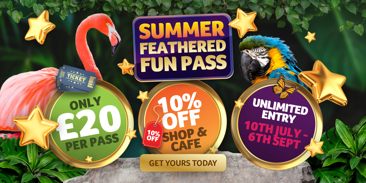 birdlandFunPass2026websitehomepagebanner 1200x600px - 2026 Feathered Fun Pass
