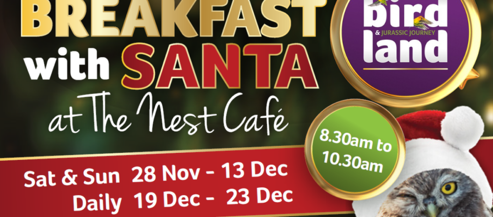 World Penguin Day 1200 x 600 px 3 1000x440 - Breakfast with Santa!